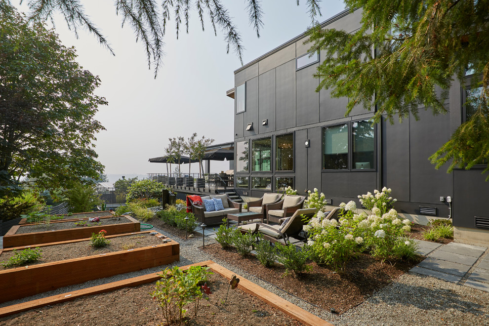 Moderner Gemüsegarten neben dem Haus mit direkter Sonneneinstrahlung und Mulch in Seattle