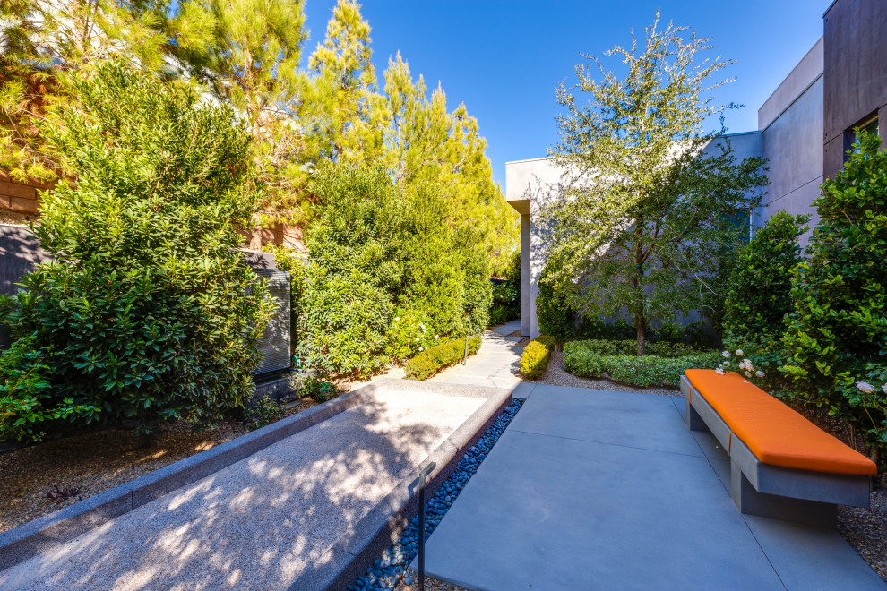 Esempio di un privacy in giardino minimalista esposto a mezz'ombra di medie dimensioni e nel cortile laterale con pavimentazioni in cemento