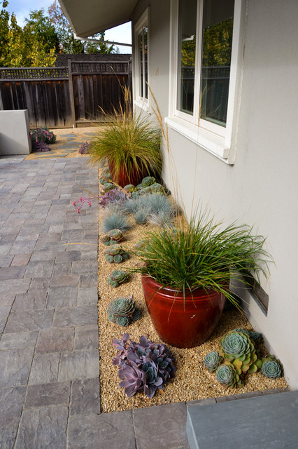 Water Wise Front Yard Patio Garden, Modern Desert Landscape Backyard Design