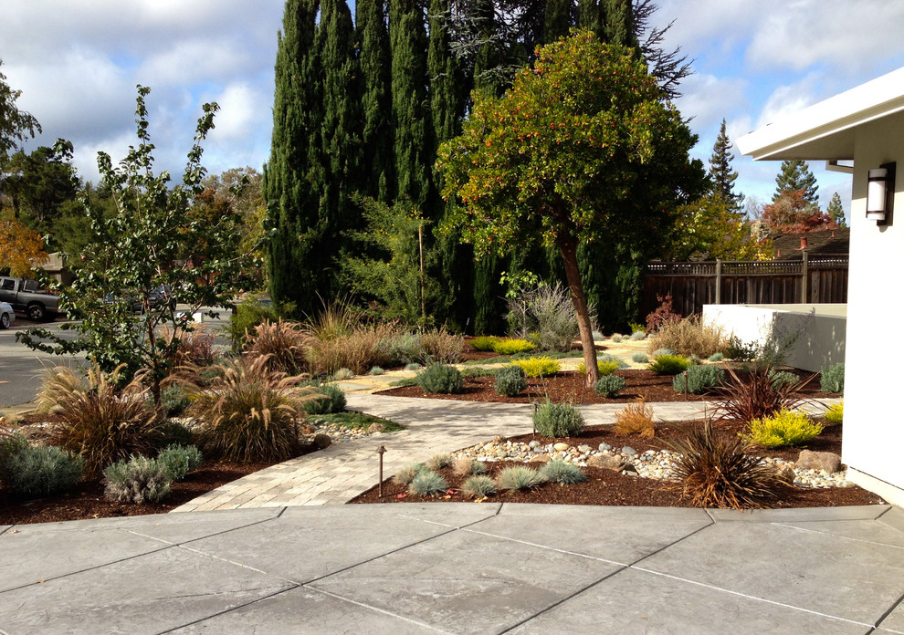 Water Wise Front Yard Patio Garden, Best Modern Landscape Design