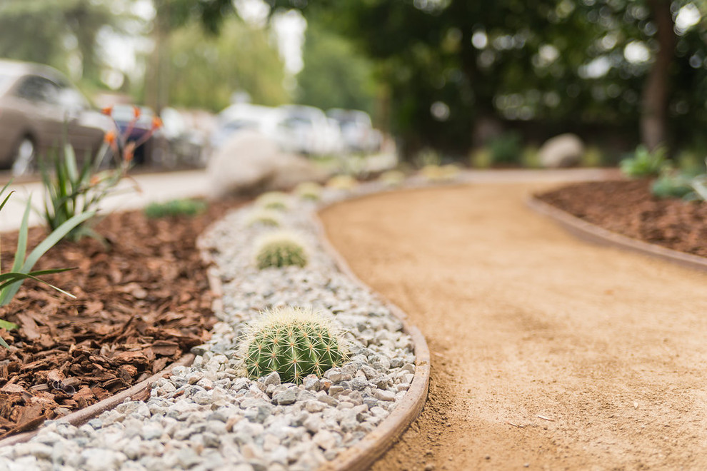 Kleiner Moderner Garten im Frühling mit direkter Sonneneinstrahlung und Mulch in Los Angeles
