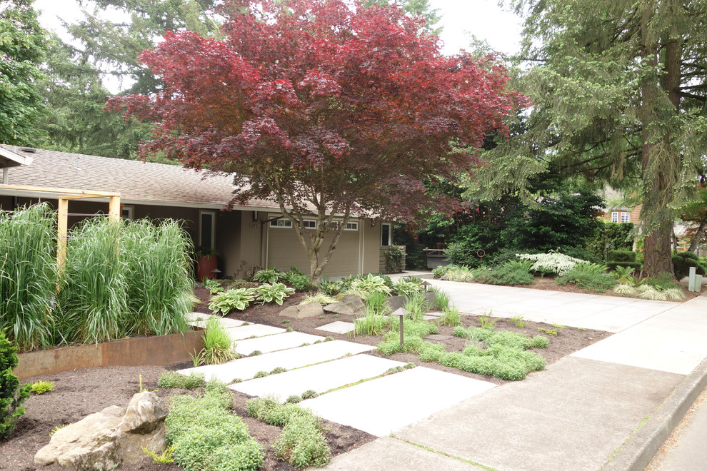 Ispirazione per un grande giardino minimalista in ombra davanti casa in primavera con un ingresso o sentiero e pavimentazioni in cemento