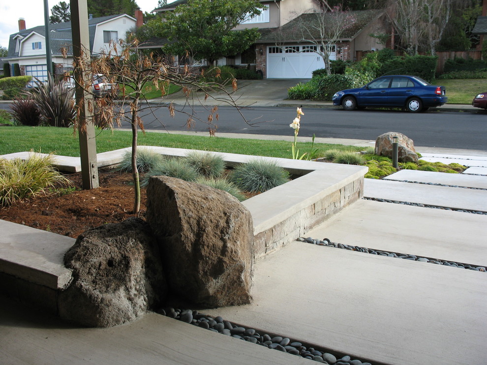 Idee per un piccolo giardino moderno esposto in pieno sole davanti casa con un ingresso o sentiero e pavimentazioni in cemento