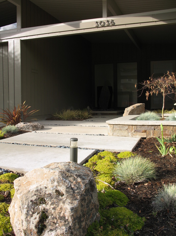 Idee per un piccolo giardino minimalista esposto in pieno sole davanti casa con un ingresso o sentiero