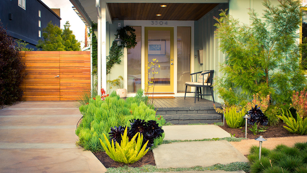 Immagine di un giardino xeriscape minimalista esposto in pieno sole davanti casa e di medie dimensioni con un ingresso o sentiero e pavimentazioni in cemento