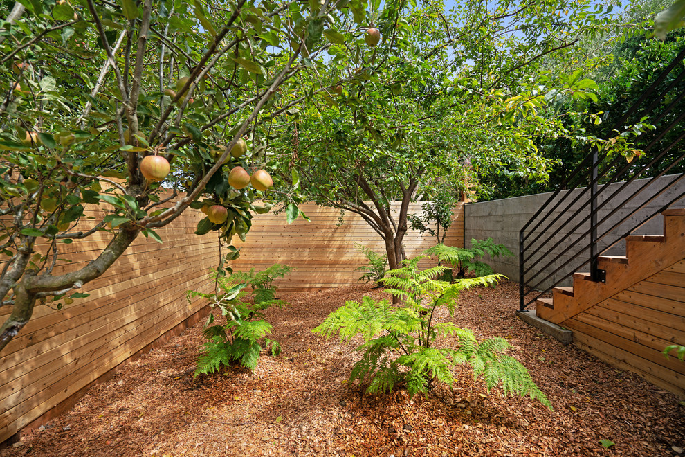 Esempio di un giardino minimal di medie dimensioni e dietro casa con pacciame