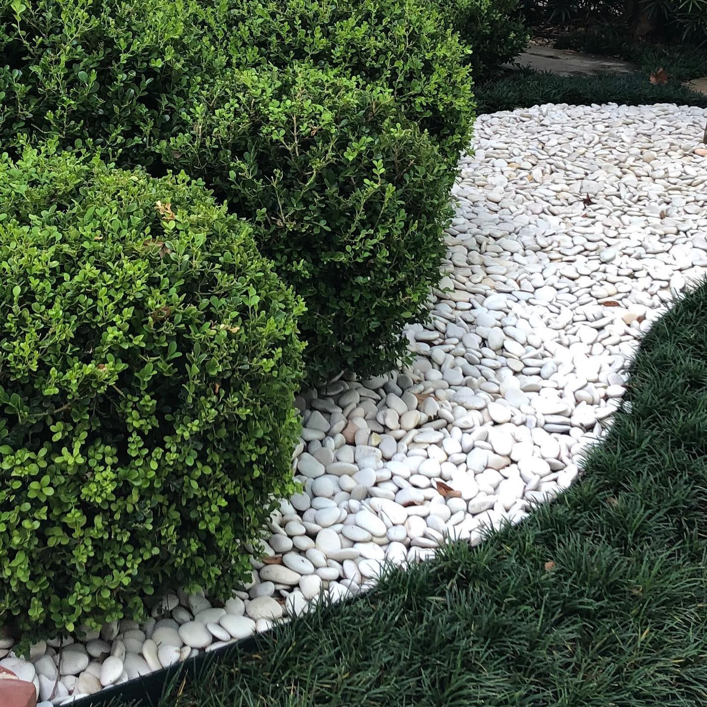 小さなおしゃれな庭 (庭石) の画像 75選 - 2025年4月 | Houzz