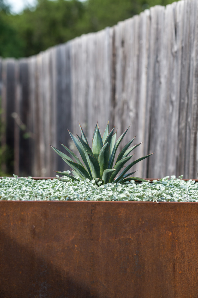 Design ideas for a small modern drought-tolerant backyard stone landscaping in Austin.
