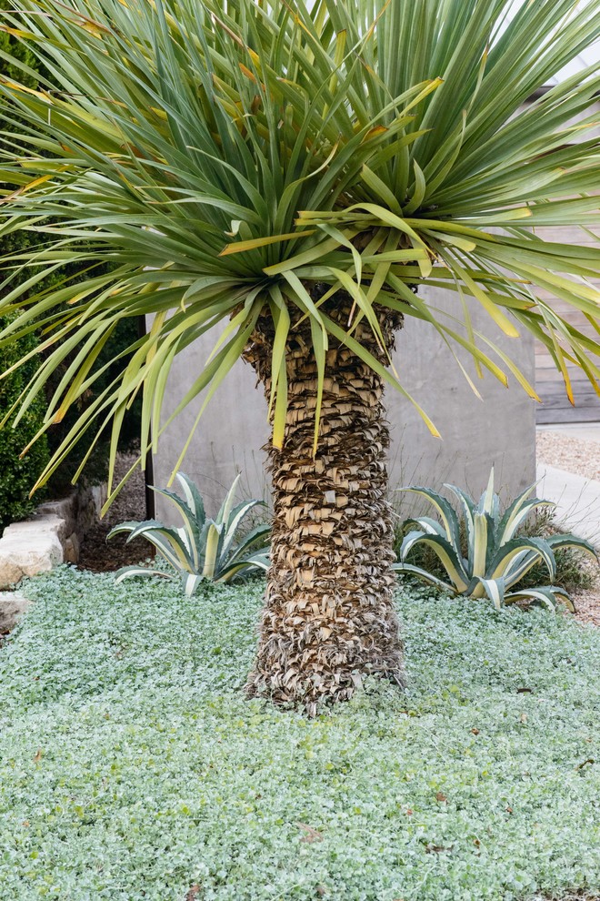 Foto di un giardino american style esposto in pieno sole di medie dimensioni e davanti casa in primavera con ghiaia
