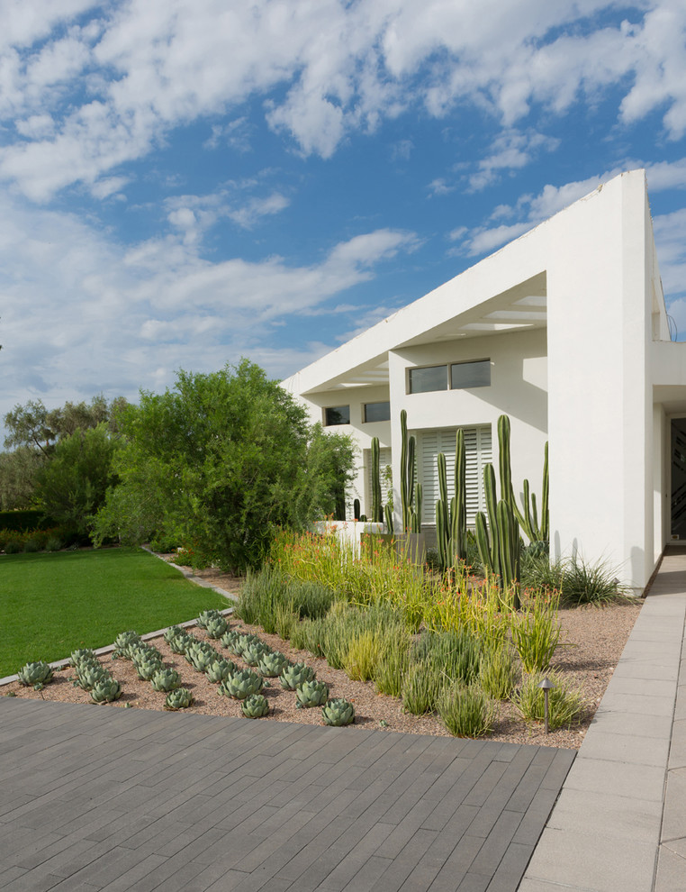 Inspiration for a modern garden in Phoenix.