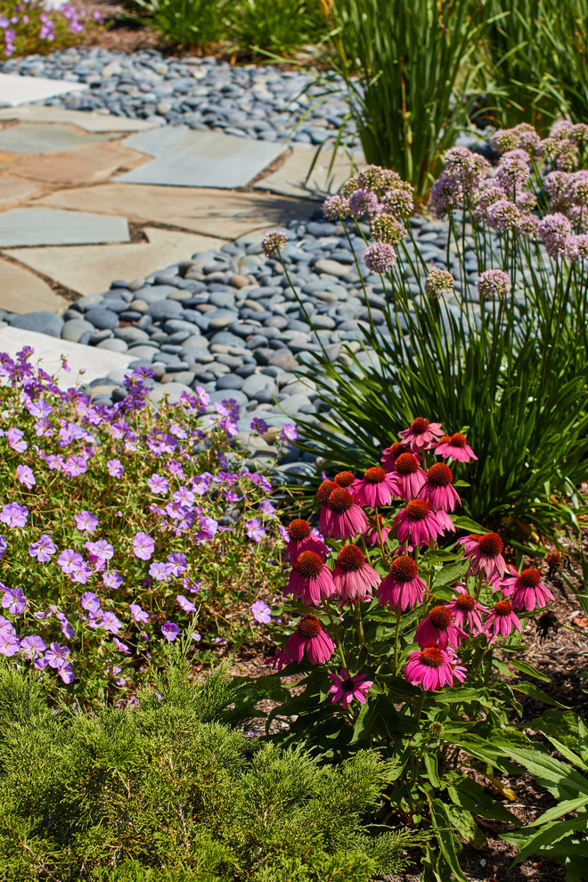 Imagen de camino de jardín de secano retro de tamaño medio en verano en patio delantero con exposición total al sol y adoquines de piedra natural