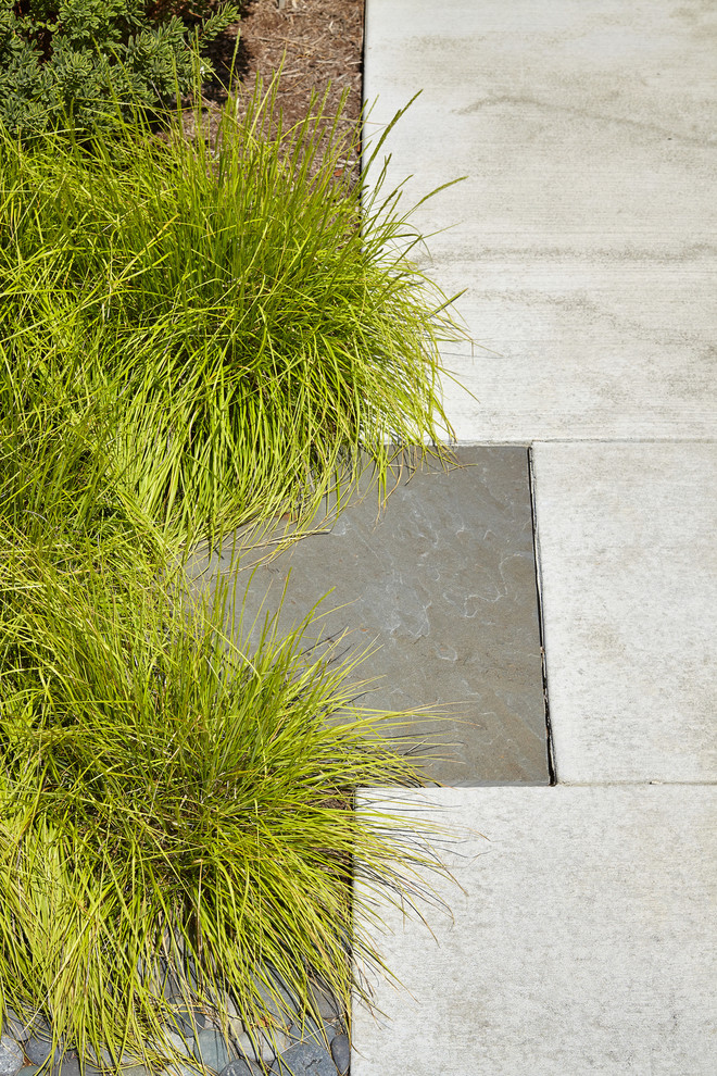 Foto di un giardino xeriscape minimalista esposto in pieno sole di medie dimensioni e davanti casa in estate con un ingresso o sentiero e pavimentazioni in pietra naturale