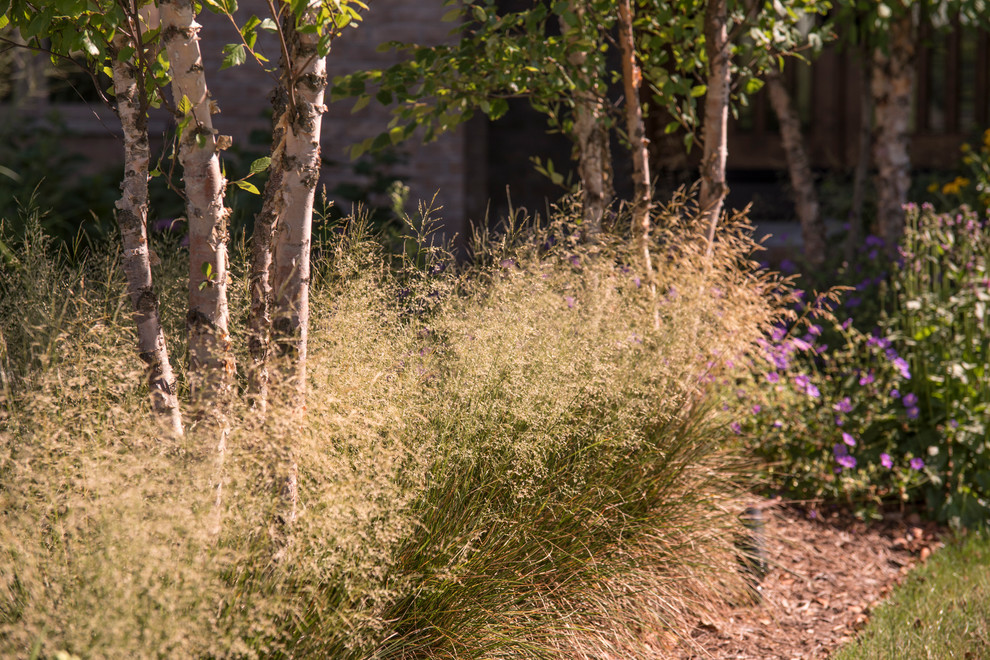 Ispirazione per un giardino xeriscape minimalista esposto in pieno sole davanti casa e di medie dimensioni in autunno con un ingresso o sentiero