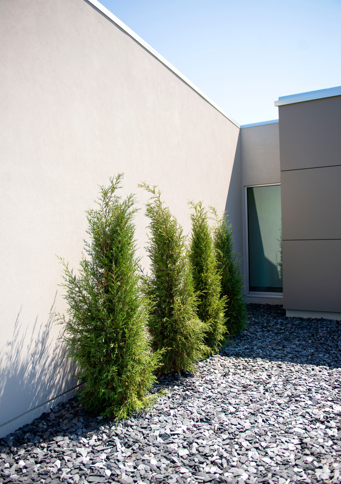 Immagine di un giardino formale minimalista esposto in pieno sole di medie dimensioni e davanti casa in estate con un ingresso o sentiero