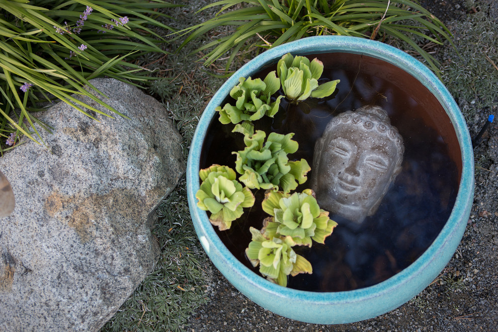 Modern Garden Design - La Jolla, CA - Modern - Landscape - San Diego