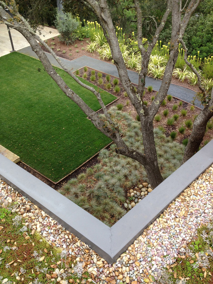 Design ideas for a modern drought-tolerant backyard lawn edging in San Francisco.