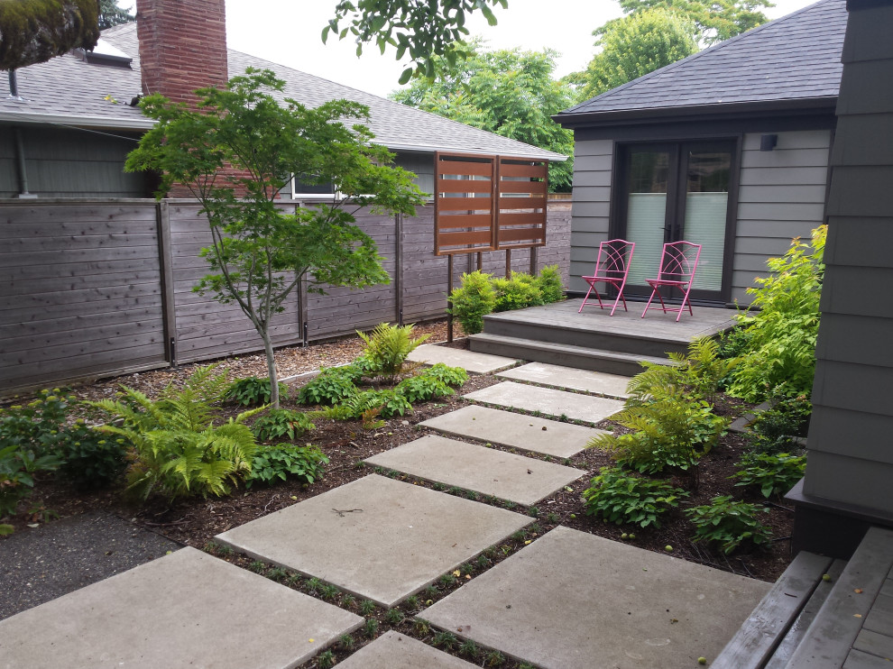 Modelo de jardín minimalista de tamaño medio en verano en patio trasero con camino de entrada, exposición reducida al sol y adoquines de hormigón