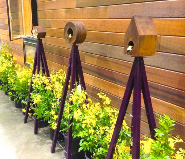 Photo of a contemporary landscaping in Los Angeles.