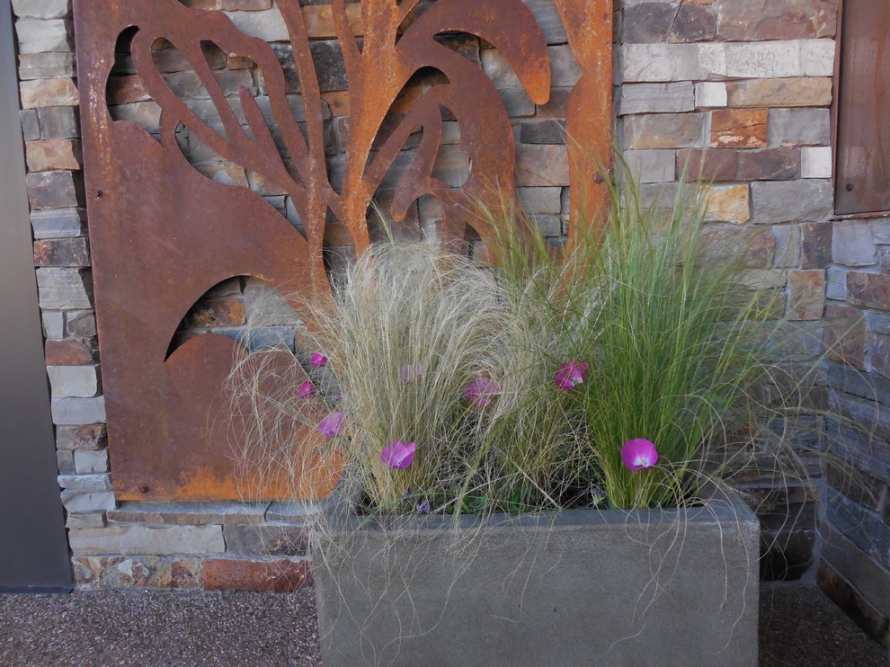 На фото: маленький летний засухоустойчивый сад на внутреннем дворе в стиле модернизм с растениями в контейнерах, полуденной тенью и мощением тротуарной плиткой для на участке и в саду