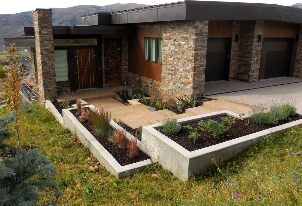 Immagine di un giardino xeriscape minimal esposto in pieno sole di medie dimensioni e davanti casa con un ingresso o sentiero e pavimentazioni in cemento