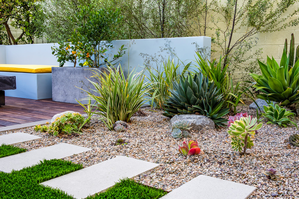 Ejemplo de jardín de secano minimalista de tamaño medio en patio trasero con brasero, exposición parcial al sol y gravilla