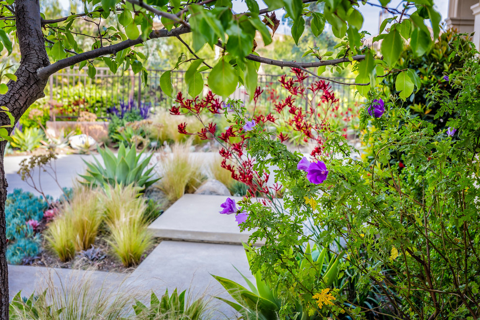 Esempio di un giardino xeriscape moderno esposto a mezz'ombra di medie dimensioni e davanti casa con un ingresso o sentiero e pavimentazioni in cemento