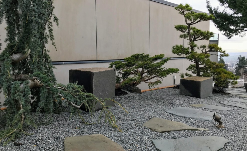 Foto di un piccolo giardino formale minimalista esposto in pieno sole davanti casa con pavimentazioni in pietra naturale