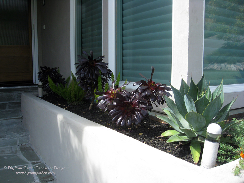 Photo of a small modern shade front yard stone garden path in San Francisco for summer.