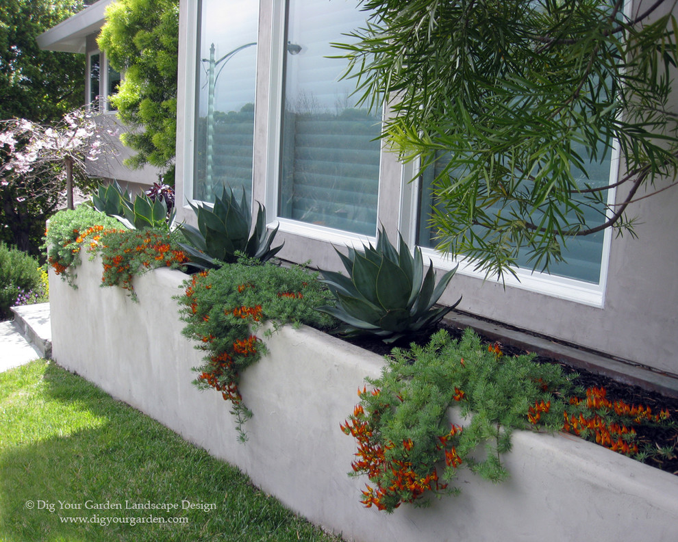 Immagine di un piccolo giardino minimal esposto in pieno sole davanti casa in primavera con un giardino in vaso