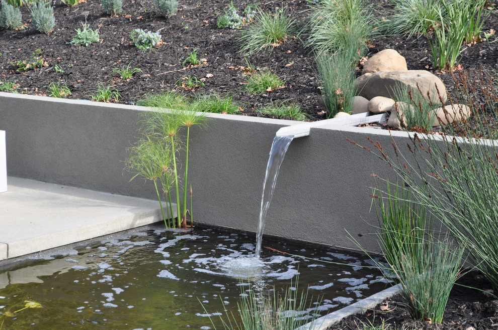 Immagine di un giardino minimalista con fontane