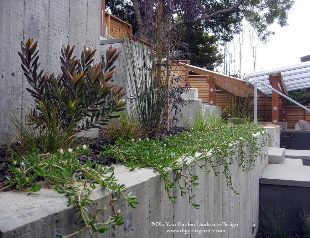 Aménagement d'un petit jardin moderne l'automne avec une exposition ensoleillée, une pente, une colline ou un talus et des pavés en béton.
