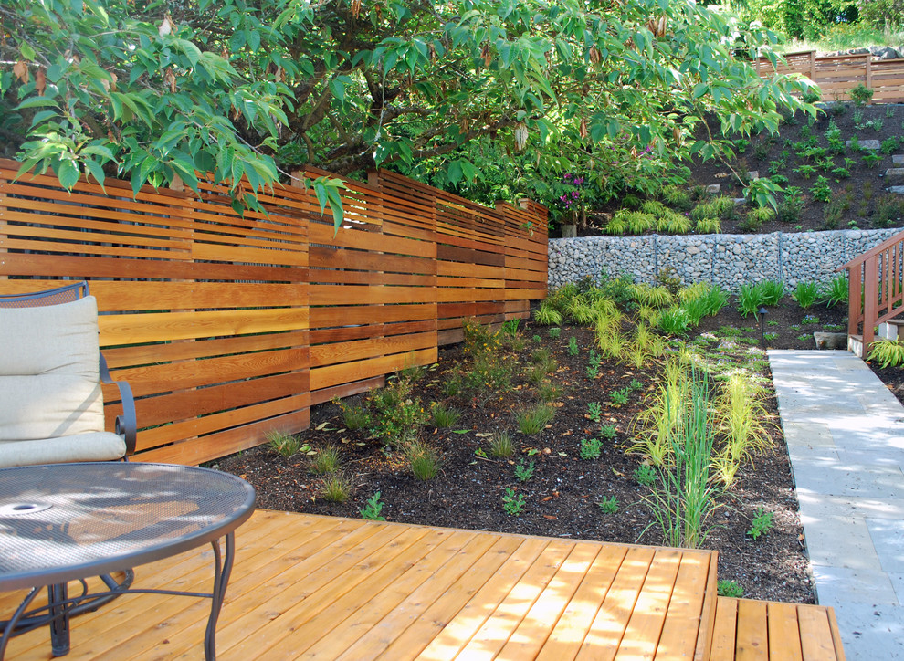 Idee per un piccolo giardino xeriscape moderno esposto a mezz'ombra con un muro di contenimento, un pendio, una collina o una riva e pavimentazioni in pietra naturale
