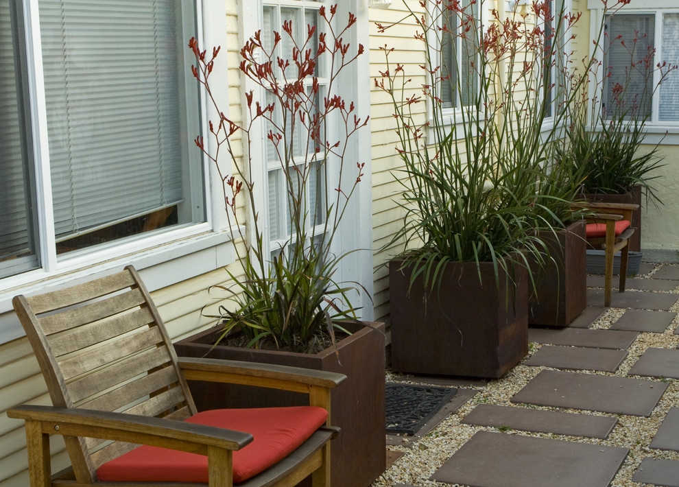Design ideas for a modern landscaping in San Francisco.