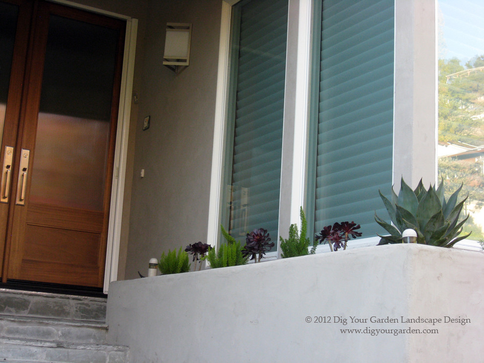 Small modern front fully shaded garden for spring in San Francisco with a garden path and natural stone paving.