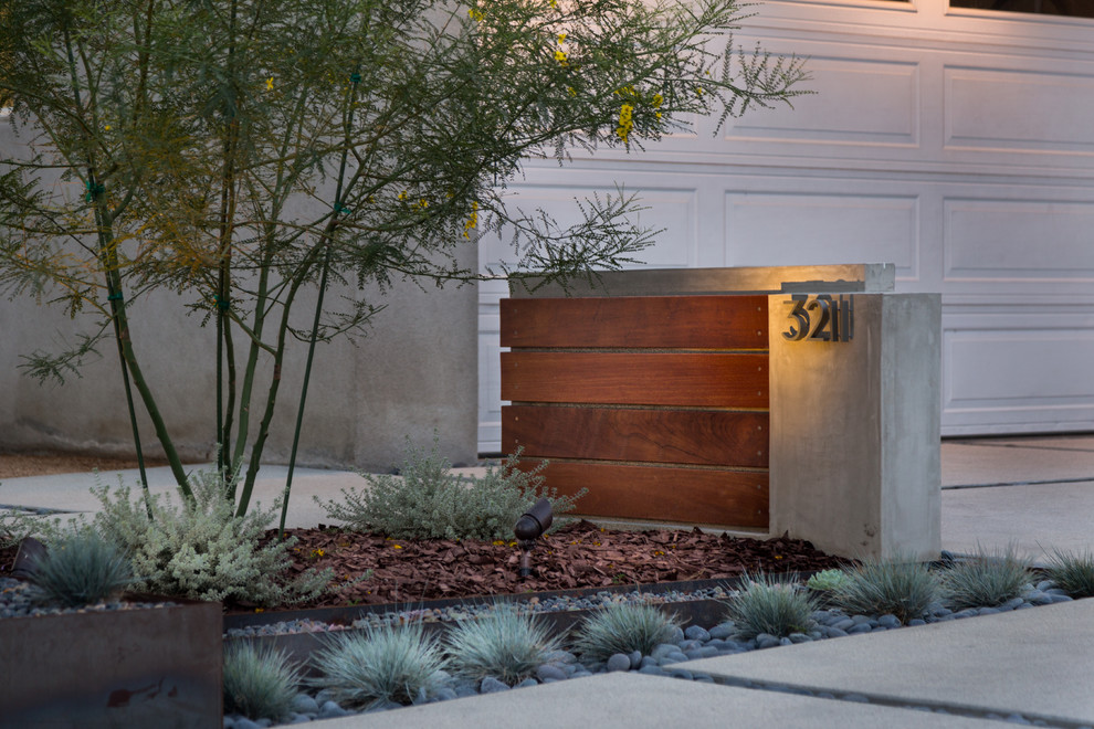 Ispirazione per un giardino xeriscape minimalista esposto a mezz'ombra di medie dimensioni e davanti casa in estate con un giardino in vaso e pavimentazioni in cemento