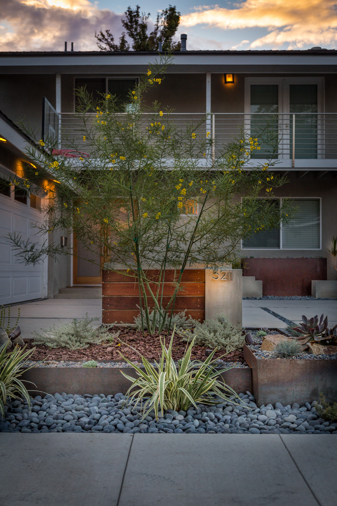 Ejemplo de jardín de secano minimalista de tamaño medio en verano en patio delantero con jardín de macetas, exposición parcial al sol y adoquines de hormigón