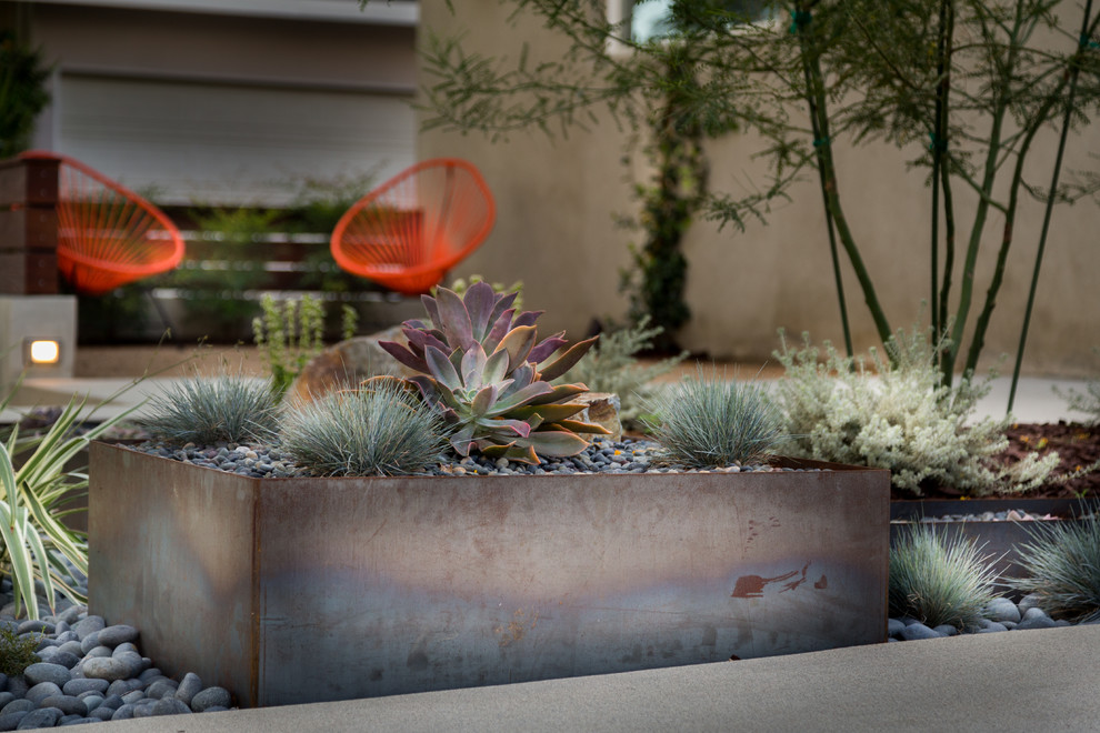 Пример оригинального дизайна: летний засухоустойчивый сад среднего размера на переднем дворе в стиле модернизм с растениями в контейнерах, полуденной тенью и мощением тротуарной плиткой