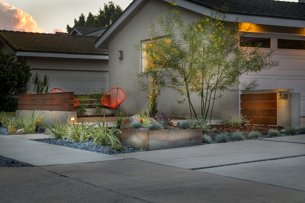 Modern Long Beach Drought Tolerant Design Modern Landscape Los Angeles By California Landscape Construction Houzz
