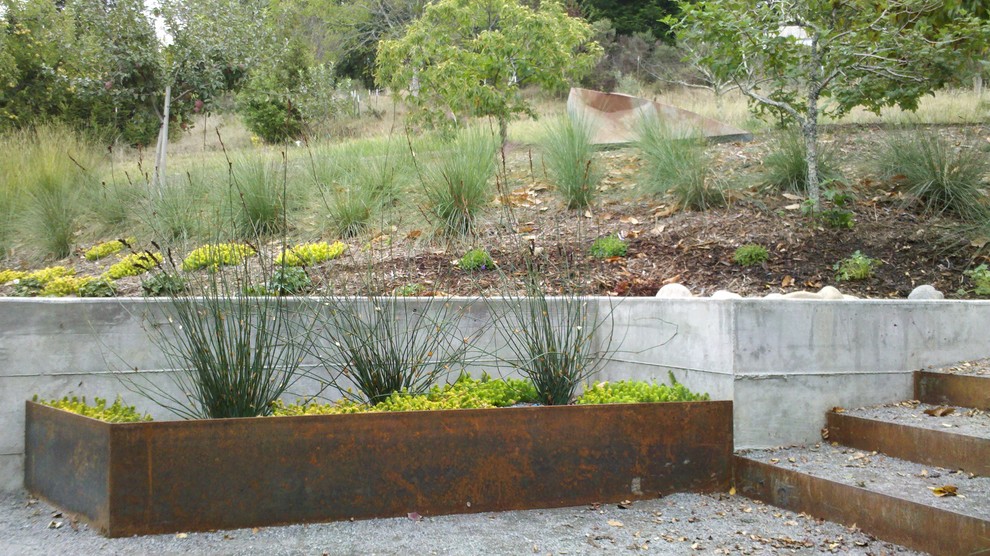 Photo of an industrial garden in San Francisco with a retaining wall.