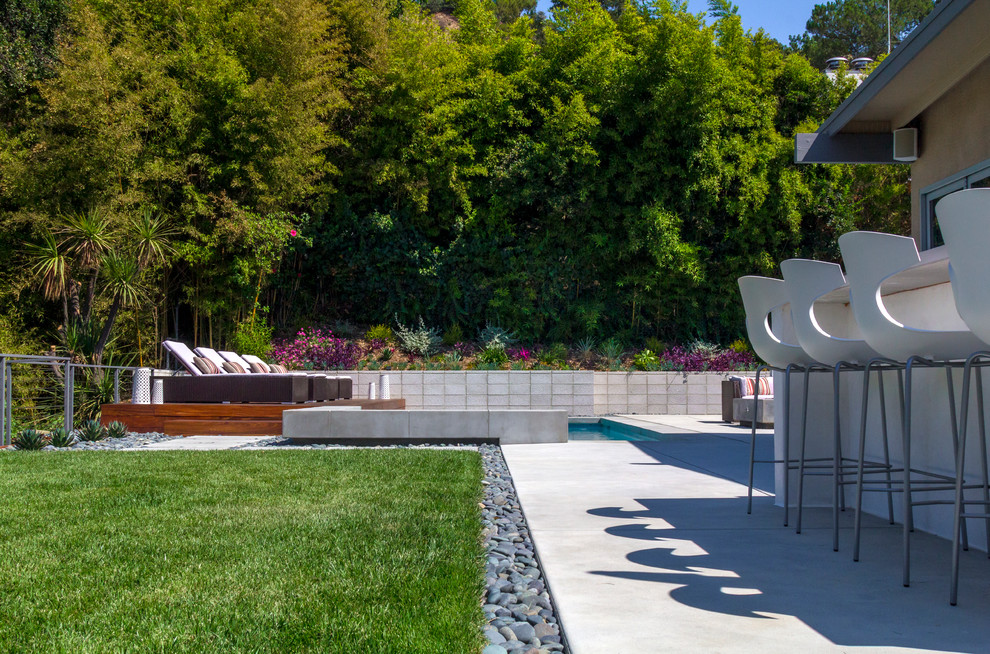 ロサンゼルスにある高級な中くらいなコンテンポラリースタイルのおしゃれな裏庭 (擁壁) の写真