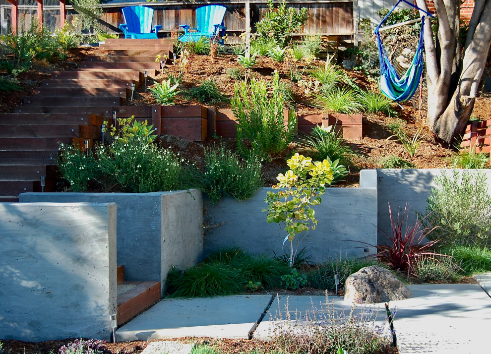 Modelo de jardín de secano actual de tamaño medio en verano en patio trasero con roca decorativa, exposición total al sol y adoquines de hormigón