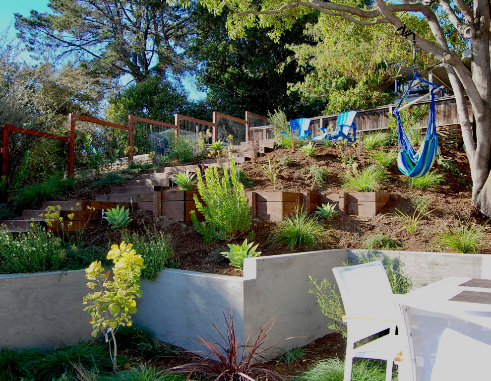 Ejemplo de jardín de secano contemporáneo de tamaño medio en verano en patio trasero con roca decorativa, exposición total al sol y adoquines de hormigón