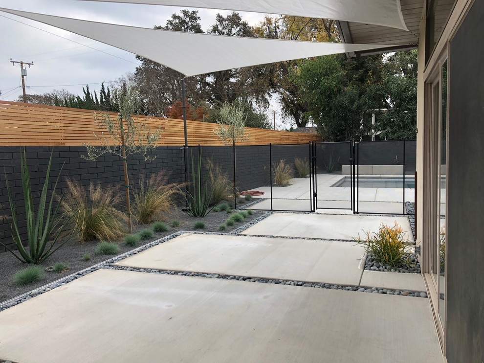 Пример оригинального дизайна: засухоустойчивый сад среднего размера на боковом дворе в стиле ретро с полуденной тенью и мощением тротуарной плиткой