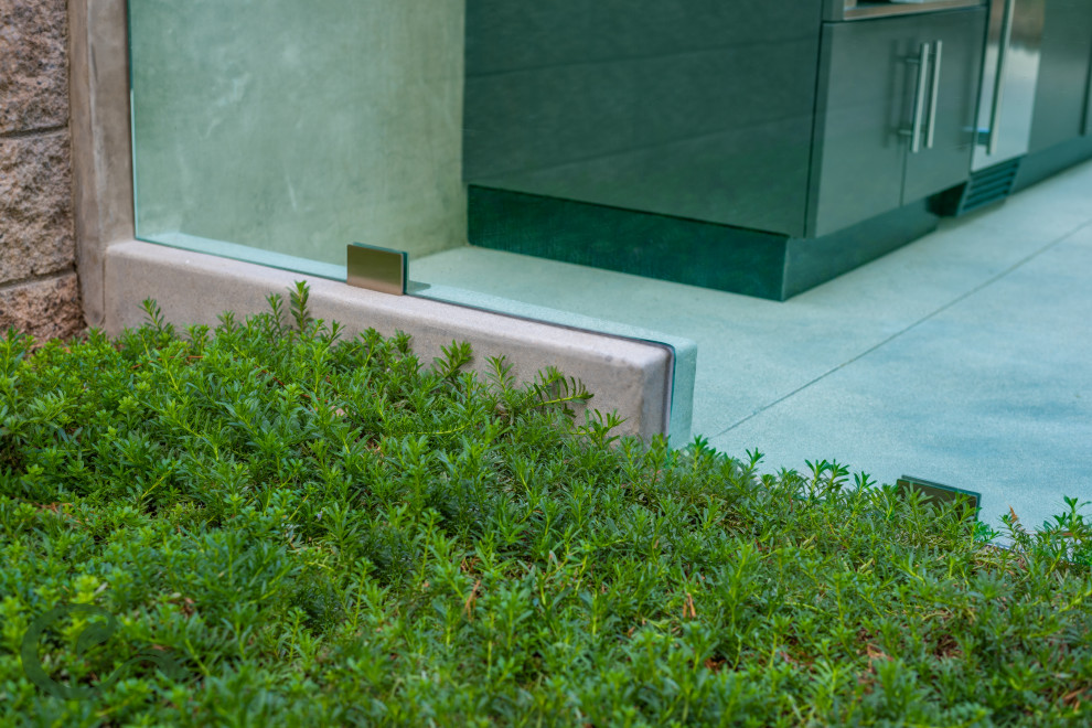 Esempio di un piccolo giardino xeriscape moderno esposto in pieno sole dietro casa in estate con pavimentazioni in cemento
