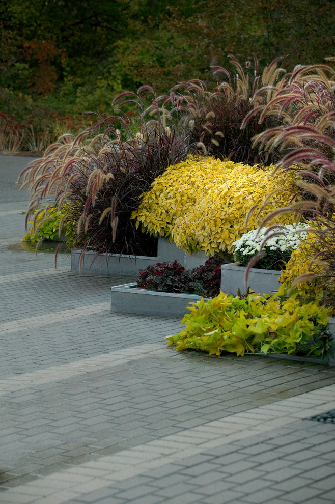 Idee per un giardino moderno esposto in pieno sole in autunno