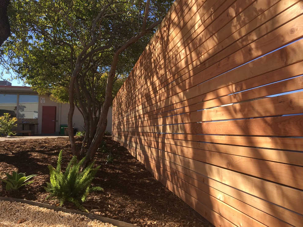 Immagine di un giardino xeriscape minimalista esposto a mezz'ombra di medie dimensioni e dietro casa in estate con pacciame