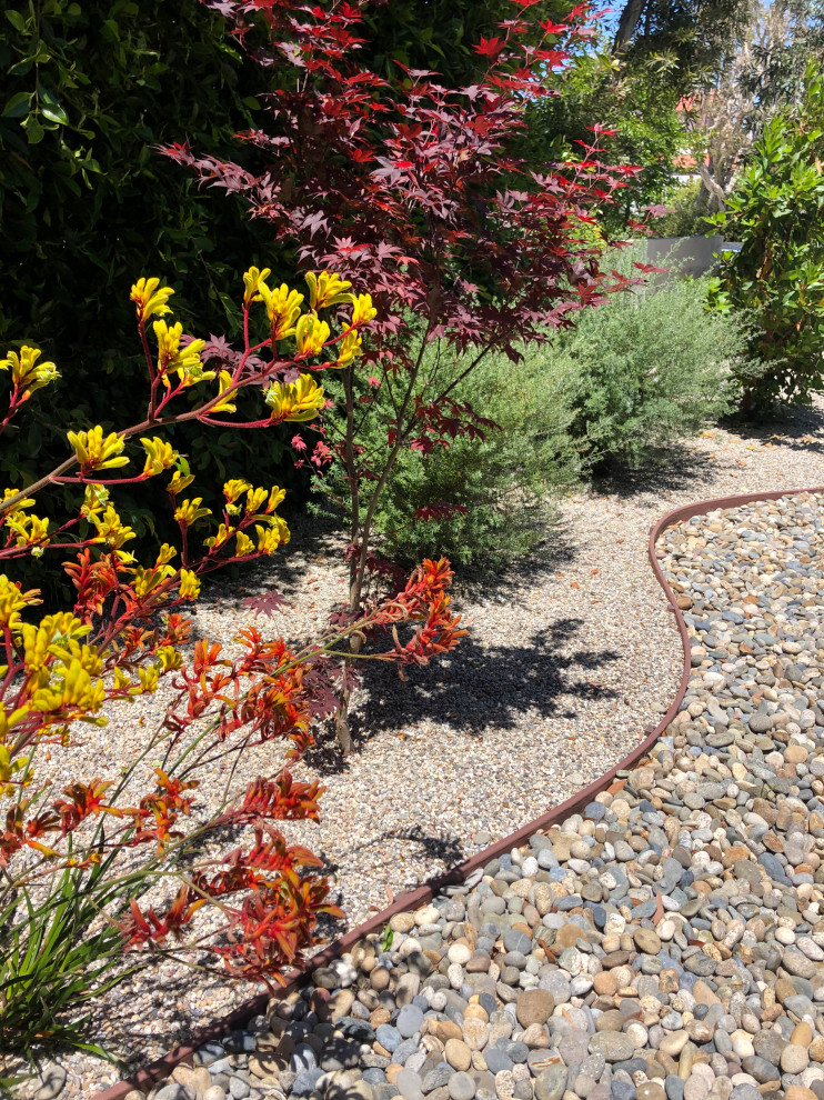 Идея дизайна: солнечный, весенний засухоустойчивый сад среднего размера на переднем дворе в стиле модернизм с пустынными растениями, хорошей освещенностью и покрытием из гравия