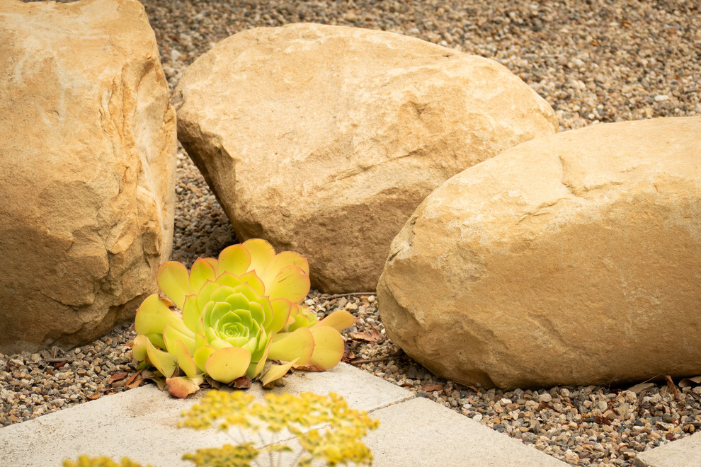 Design ideas for a contemporary drought-tolerant backyard gravel landscaping in Santa Barbara.