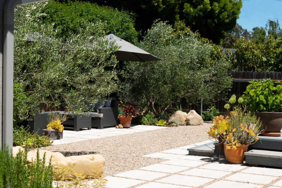 Mittelgroßer Moderner Garten hinter dem Haus mit direkter Sonneneinstrahlung und Betonboden in Santa Barbara