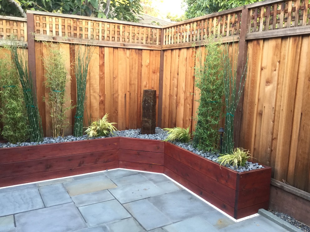 Пример оригинального дизайна: маленький засухоустойчивый сад на заднем дворе в стиле модернизм с полуденной тенью для на участке и в саду